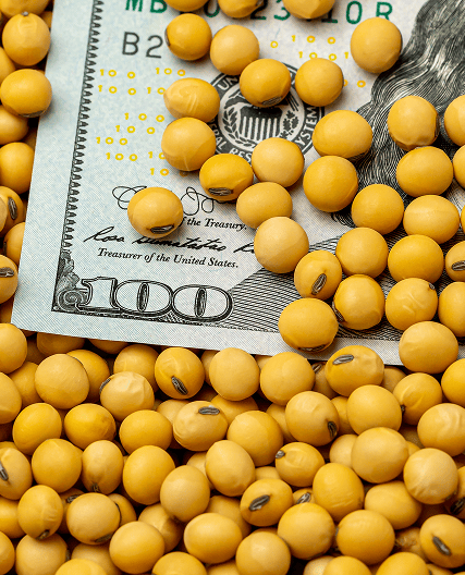 Proteção contra flutuação de preços no agronegócio