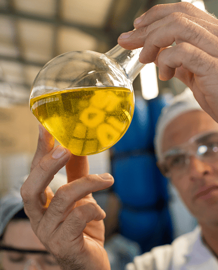 Industrialização de soja