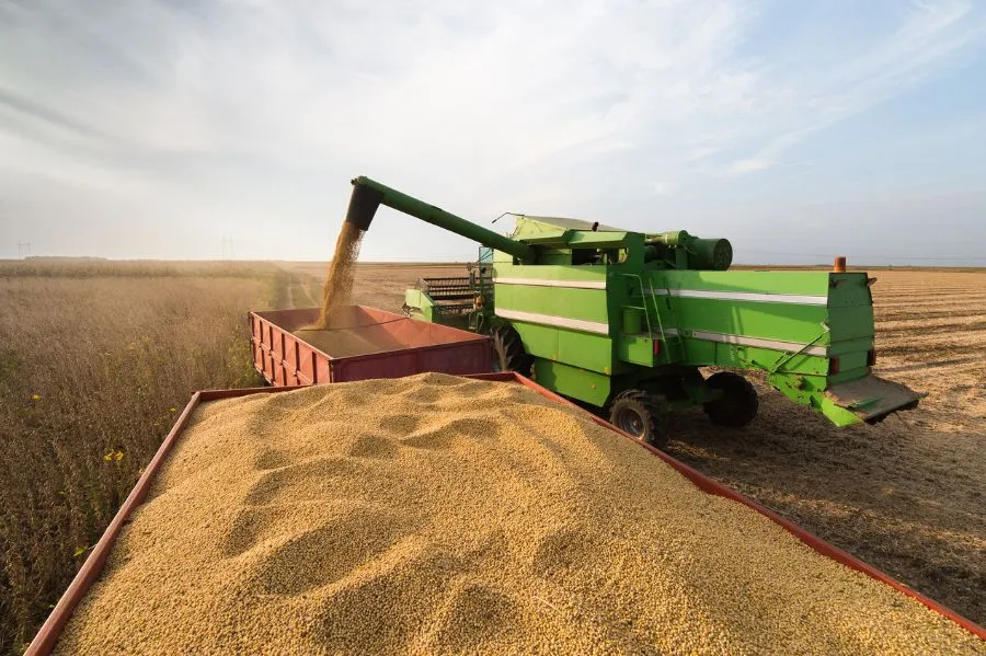 Trading agrícola: o que é e como funciona na prática