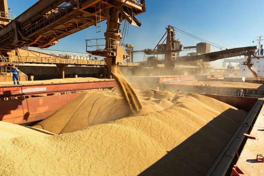 Logística do campo ao porto: por que o planejamento antecipado define a margem do produtor
