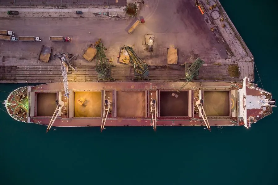 Exportação de commodities agrícolas com segurança e eficiência: um guia prático para produtores e exportadores