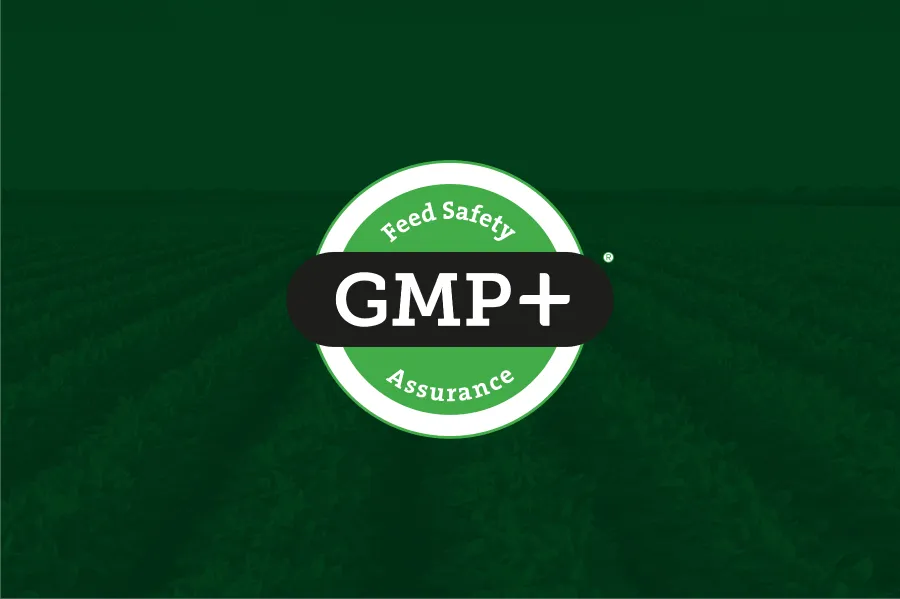 O que é o selo GMP+ e por que ele importa para quem exporta grãos